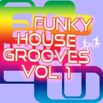 Funky House Grooves Vol 1