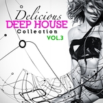 Delicious Deep House Collection Vol 3