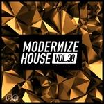 Modernize House Vol 38