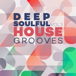 Deep Soulful House Grooves Vol 3