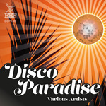 Disco Paradise Sampler