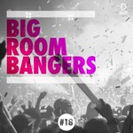 Big Room Bangers Vol 18