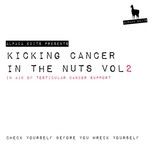 Kicking Cancer In The Nuts Vol 2