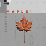 Maple