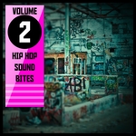 Hip Hop Sound Bites Vol 2 (Explicit)
