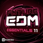 Future EDM Essentials Vol 11