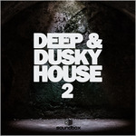 Deep & Dusky House 2 (Sample Paclk WAV)