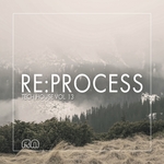 Re:Process: Tech House Vol 13