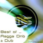 Best Of Ragga Drum & Bass/Dub