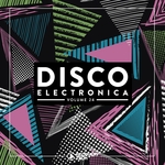 Disco Electronica Vol 24