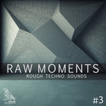 Raw Moments Vol 3: Rough Techno Sounds