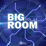 Big Room Vol 14
