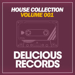 House Collection (Volume 001)