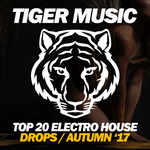 Top 20 Electro House Drops (Autumn '17)