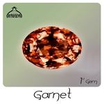 Garnet 1st Gem