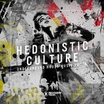 Hedonistic Culture Vol 5 (Underground House Music)