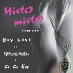 Mister Mister (Remixes)