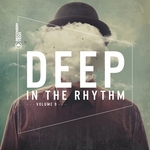 Deep In The Rhythm Vol 9