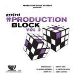 Project Production Block Vol 2