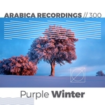 Purple Winter