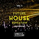 Future House Sensation Vol 3 (The House Edition)