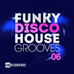 Funky Disco House Grooves Vol 06