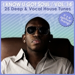 I Know U Got Soul Vol 14: Deep & Vocal House Tunes