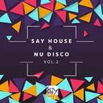 Say House & Nu Disco Vol  2