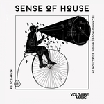 Sense Of House Vol 39