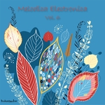 Melodica Electronica Vol 6