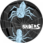 Spiders