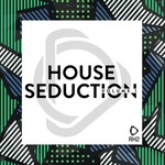 House Seduction Vol 1