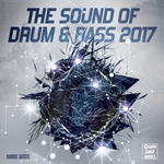 The Sound Of Drum & Bass 2017 (unmixed tracks)