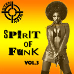 Spirit Of Funk Vol 3