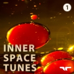 Inner Space Tunes 1