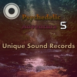 Psychedelic Adventure 5