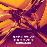 Seductive Grooves Vol 1: Nu Disco House Sounds