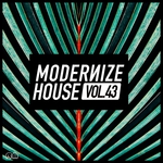 Modernize House Vol 43