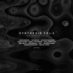SYNTHESIS Vol 2