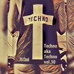 Techno Aka Techno Vol 30