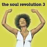 The Soul Revolution 3 (CLONE)