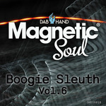 Boogie Sleuth Vol 6