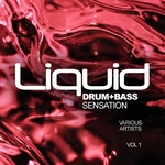 Liquid Drum+Bass Sensation Vol 1