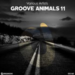 Groove Animals 11