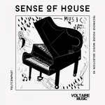 Sense Of House Vol 40