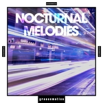 Nocturnal Melodies Vol 2