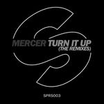 Turn It Up (The Remixes)
