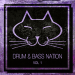 Drum & Bass Nation Vol 1