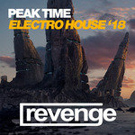 Peak Time Electro House '18