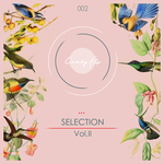 Candy Flip Presents Selection Vol 2